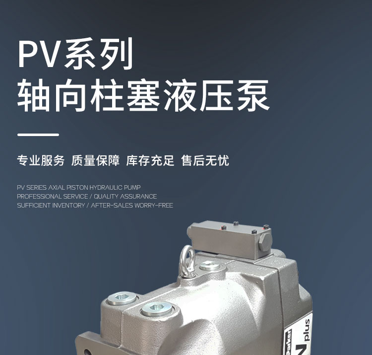 PV_01.jpg